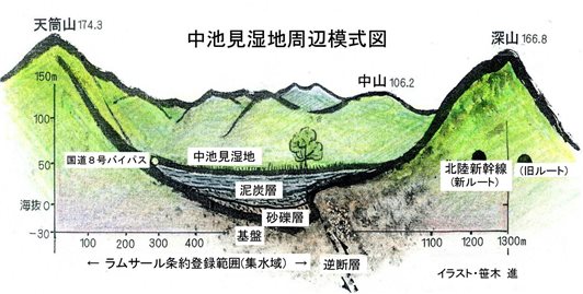 中池見湿地周辺模式図