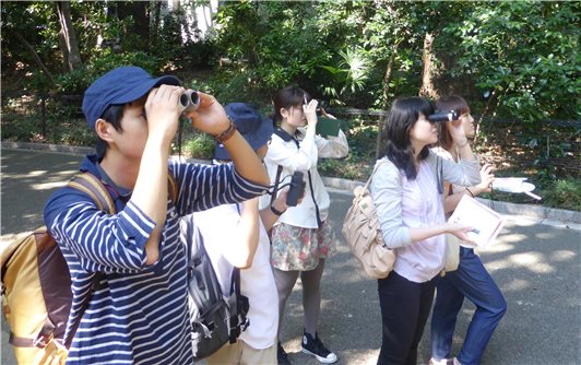 新宿御苑野鳥観察会