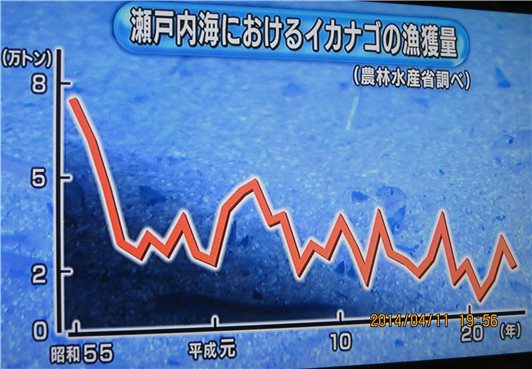 瀬戸内海におけるイカナゴ漁獲量の推移