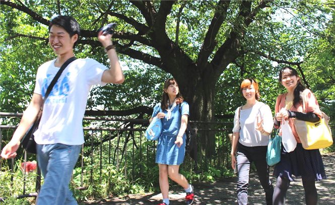 外濠公園での観察会