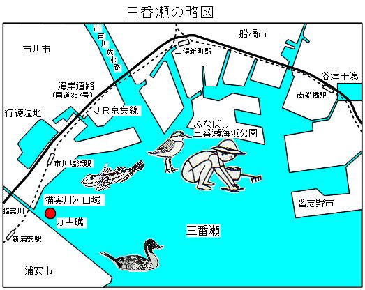 図