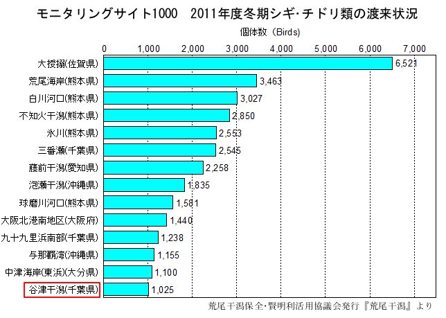 図3-2011年度冬期シギ・チドリ類の渡来状況