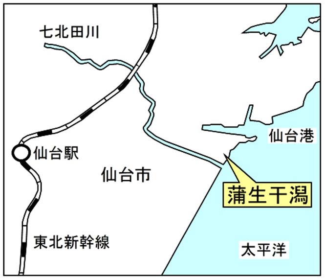 〔図1〕