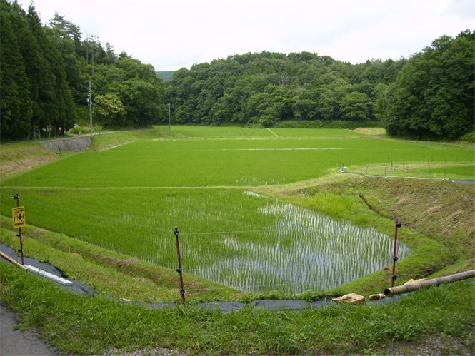 写真6-3