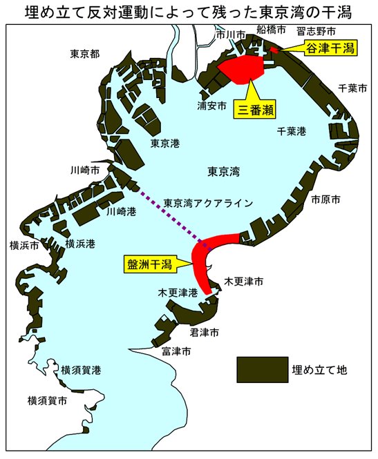 東京湾の干潟