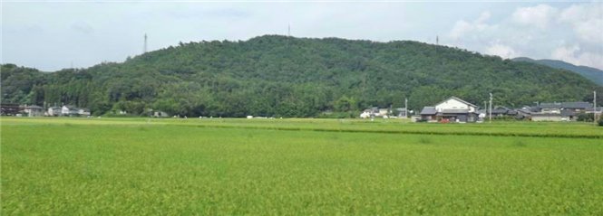 写真5上