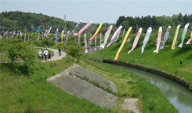 写真2-01鯉のぼり