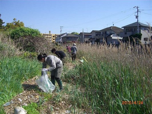 アシ原のゴミ清掃