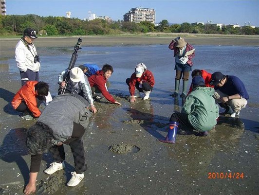 生き物観察