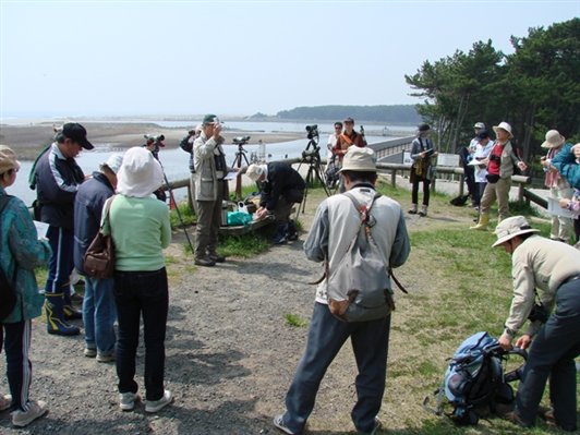 日和山に集合蒲生干潟